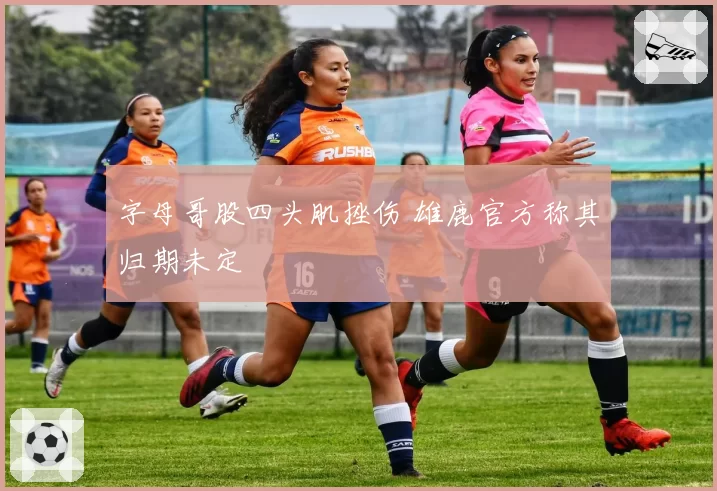 字母哥股四头肌挫伤 雄鹿官方称其归期未定