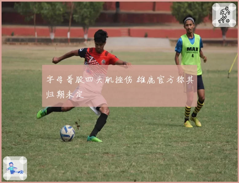 字母哥股四头肌挫伤 雄鹿官方称其归期未定